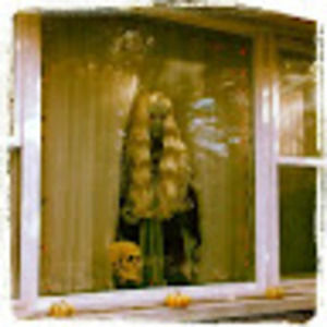 Meet your Posher, Jenni